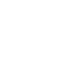 Theme Setting